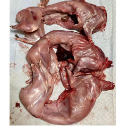 Свежайшая домашняя молодая крольчатина. Диетическое мясо без прививок, гормонов роста, антибиотиков, таблеток и прочей химии. Ростят для себя, делятся излишками. Тушки +- 1,